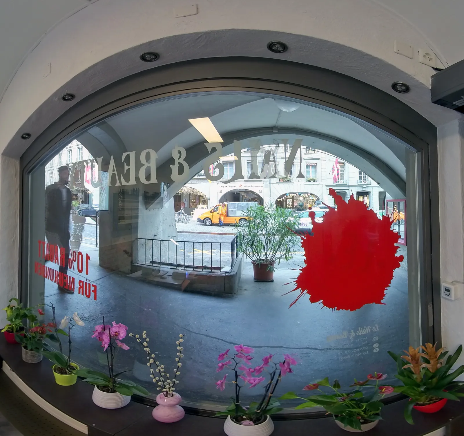 Blick aus dem Bogenfenster des Studios auf die Lauben, davor Orchideen auf der Fensterbank